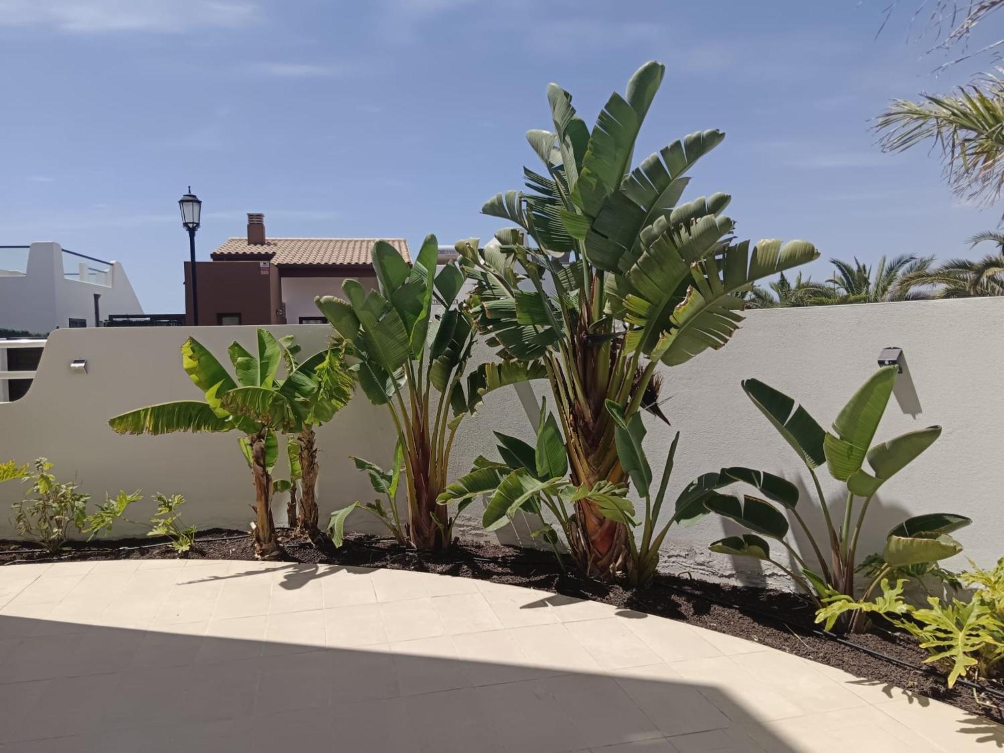 Homeforguest Flat With Large Terrace In Modern Residential Complex With Swimming Pool Калета де Фусте Екстериор снимка
